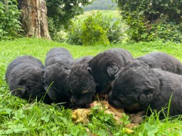 Tag 22 Es schmeckt!