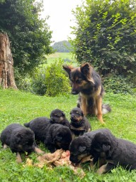Tag 22 erste Mahlzeit unter Mamas Aufsicht