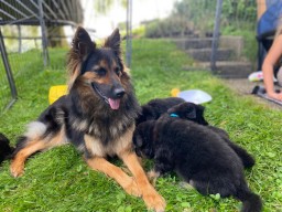 Tag 26 mit Mama