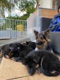Tag 53 mit Mama