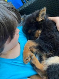 Tag 61 immer wieder kuscheln