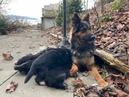 Tag 27 das erste Mal draussen