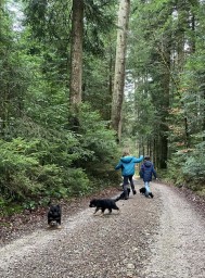Tag 45 im Wald