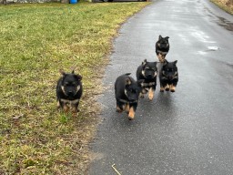 Schnappschüsse
