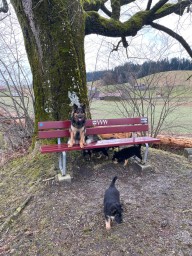 Tag 53 auf Ausflug