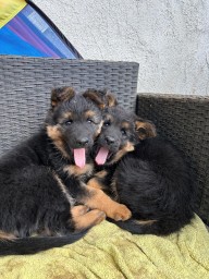 Tag 55 Joran und Giuno